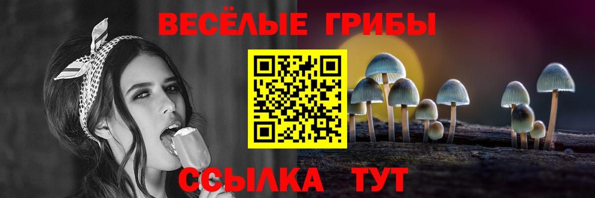 Киров  Галлюциногенные грибы MAGIC MUSHROOMS  Вход с VPN 